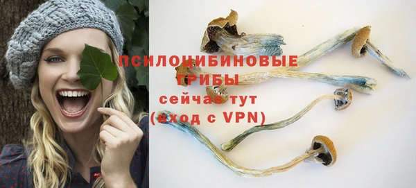 ALPHA PVP Надым