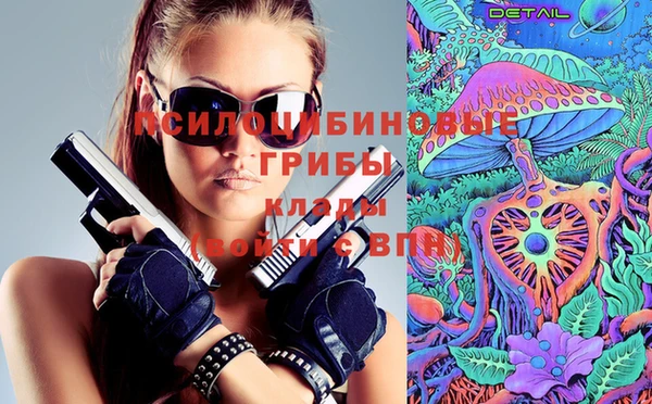 дурь Алексеевка