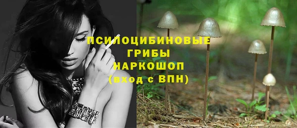 дурь Алексеевка