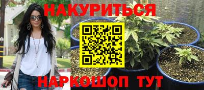 молекула духа Донской