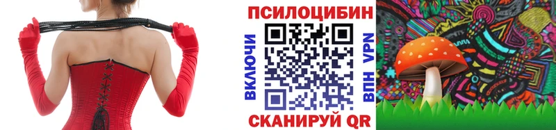 ссылка на мегу рабочий сайт  Муравленко  Псилоцибиновые грибы Psilocybe 