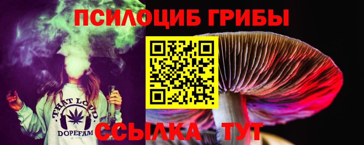 Псилоцибиновые грибы Magic Shrooms Муравленко